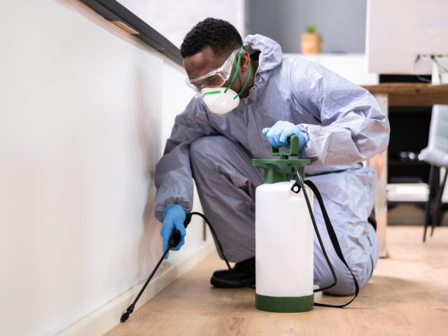 Pest Control Exterminator Man Spraying Termite Pesticide In Office